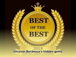 Find the Best Walking Tour of Bordeaux: A Guide to Choosing the Perfect Walk