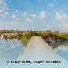 Discover Arles’ Extraordinary Things: Your Ultimate Guide
