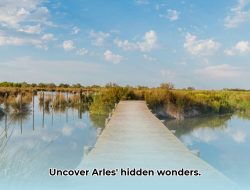 Discover Arles’ Extraordinary Things: Your Ultimate Guide