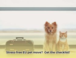 Stress-Free EU Pet Move: Your Checklist & Guide