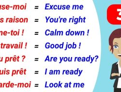 Basic French Phrases to Start Speaking French Today