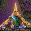 Paris Tour Packages To Experience The Romance And Charm Of France