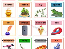 Essential Things In French for Talking Like a Local