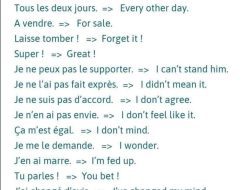 Useful French Phrases Every Beginner Needs for Confident Communication